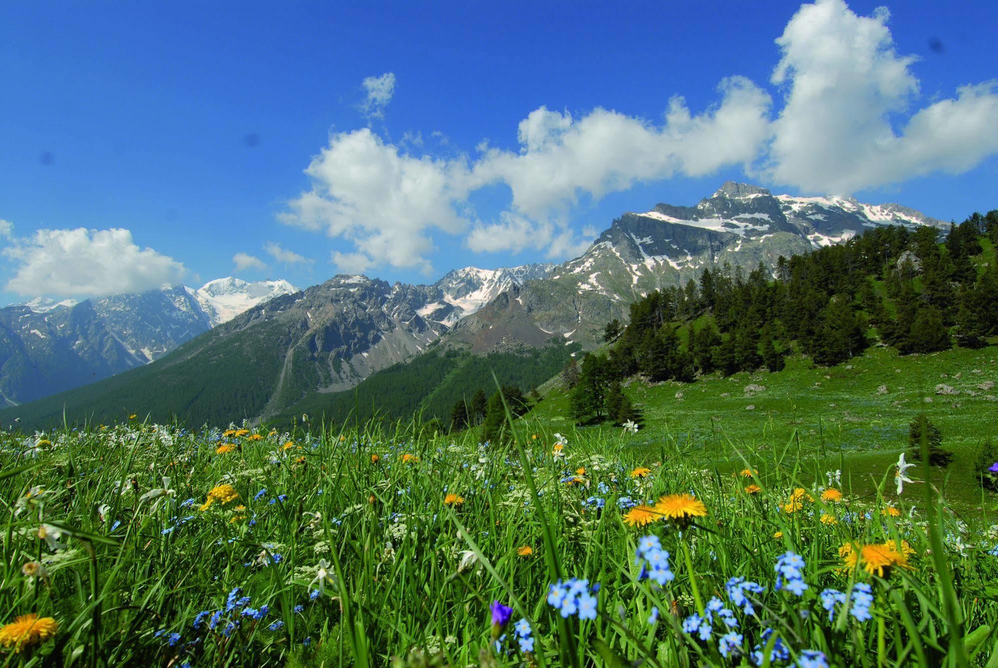 Club Vacances Bleues Les Alpes D'Azur Ла-Саль-лез-Альп Экстерьер фото